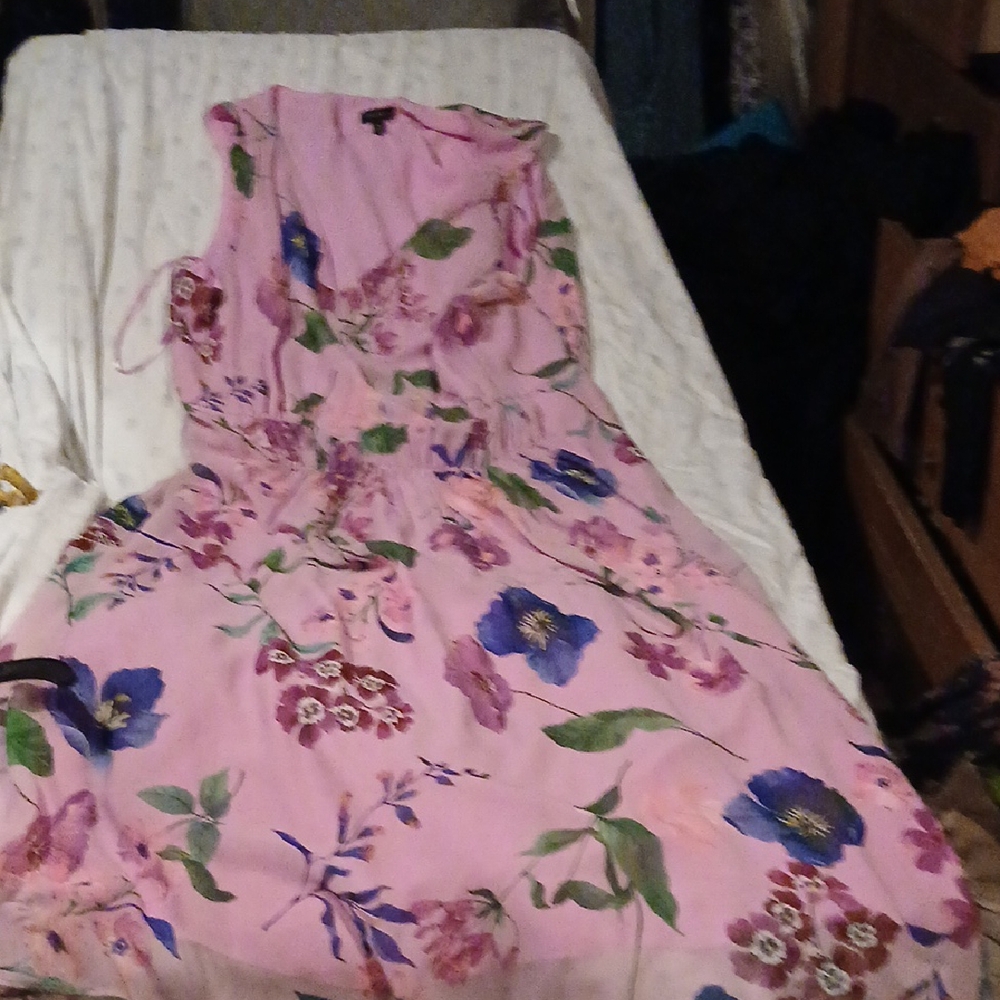 Talbots Pink Dress with Floral Design